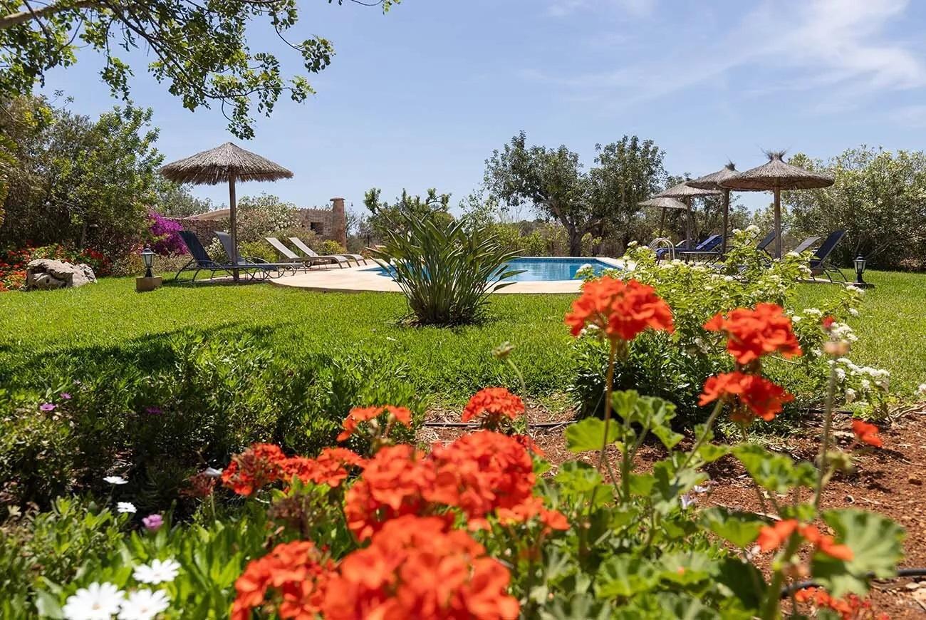 Agrofinca Santanyi - Bild# 6